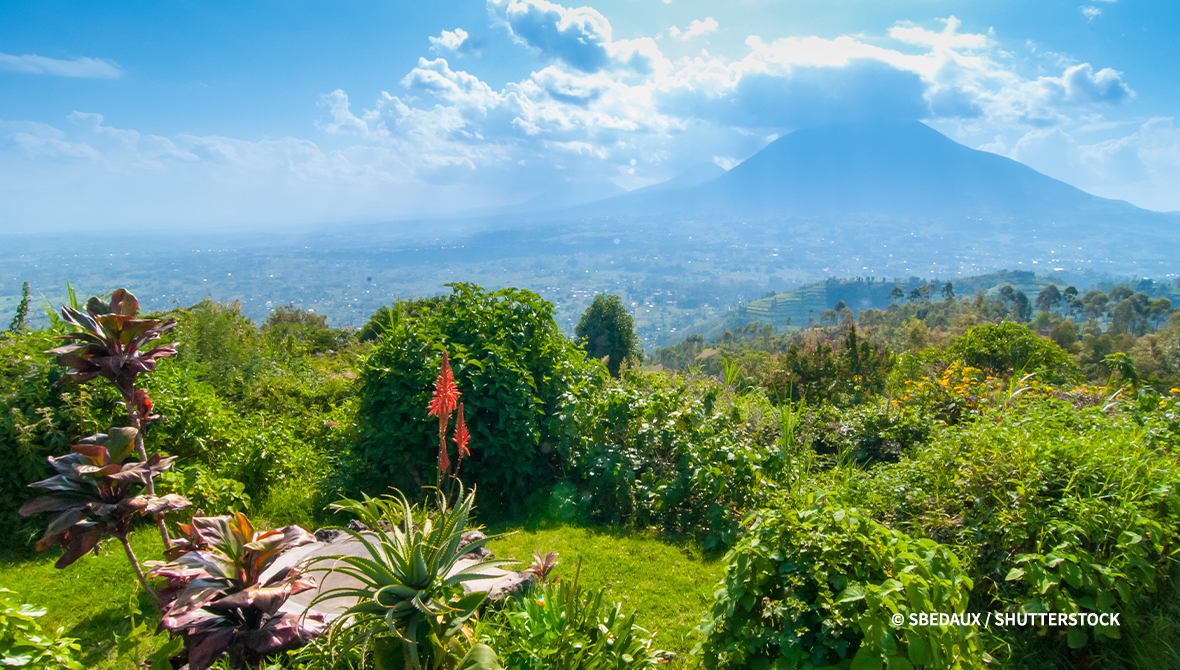 Volcanoes National Park, Rwanda